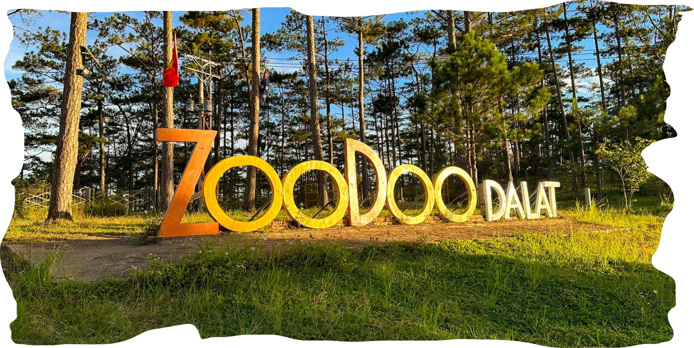 ZooDoo lettering among pine trees